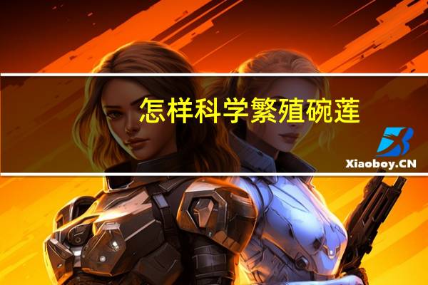 怎样科学繁殖碗莲
