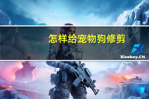 怎样给宠物狗修剪