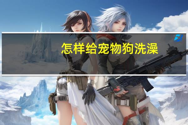 怎样给宠物狗洗澡