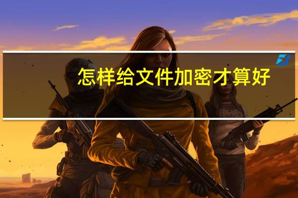 怎样给文件加密才算好（怎样给文件加密）