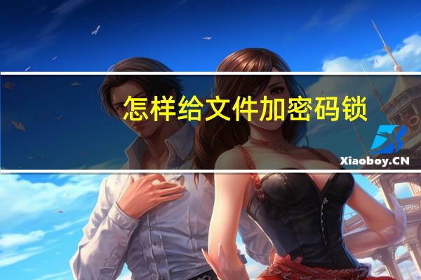 怎样给文件加密码锁(怎样给文件加密)