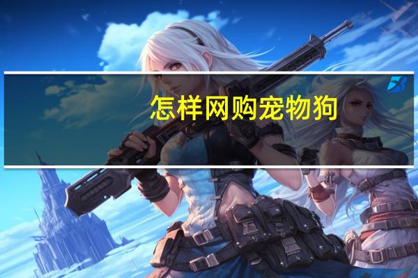 怎样网购宠物狗