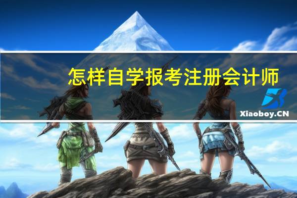 怎样自学报考注册会计师