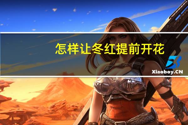 怎样让冬红提前开花：在高温干旱的环境下