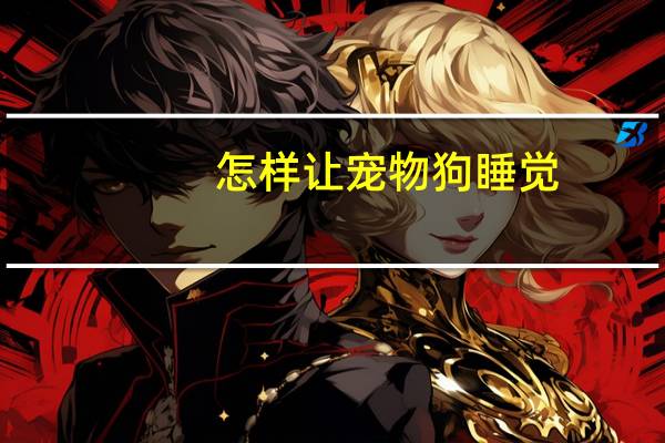 怎样让宠物狗睡觉