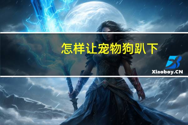 怎样让宠物狗趴下