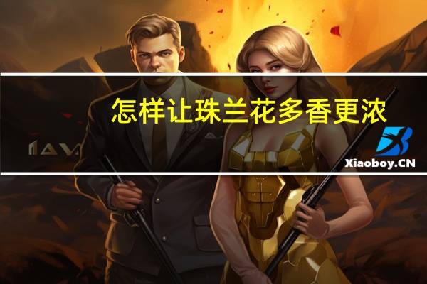 怎样让珠兰花多香更浓