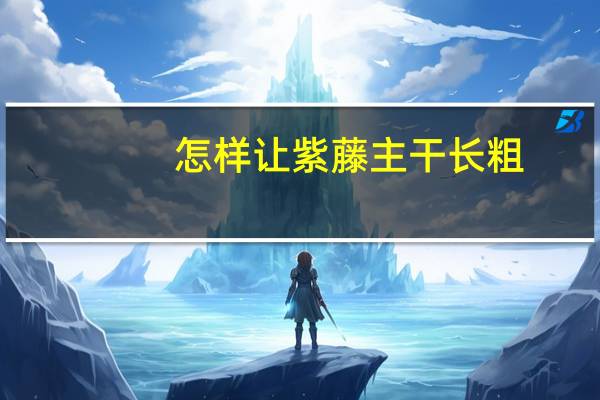 怎样让紫藤主干长粗