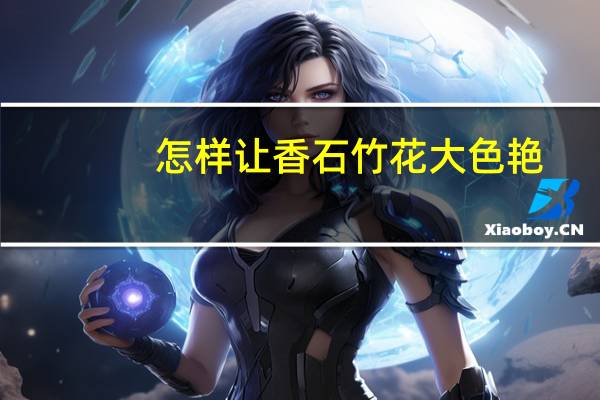 怎样让香石竹花大色艳