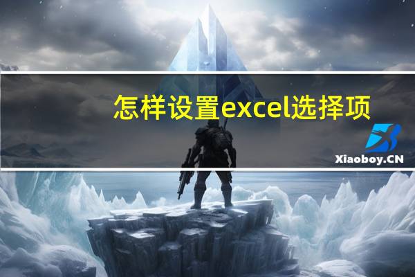 怎样设置excel选择项（excel如何设置选择项）