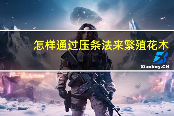 怎样通过压条法来繁殖花木