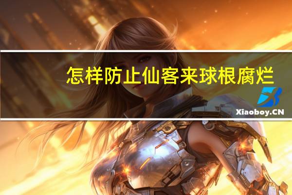怎样防止仙客来球根腐烂