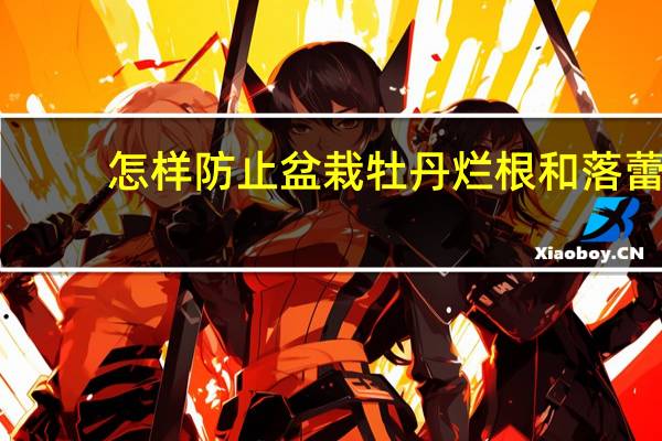 怎样防止盆栽牡丹烂根和落蕾