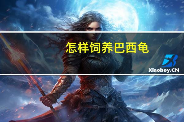 怎样饲养巴西龟？