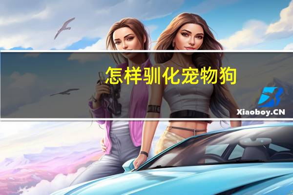 怎样驯化宠物狗