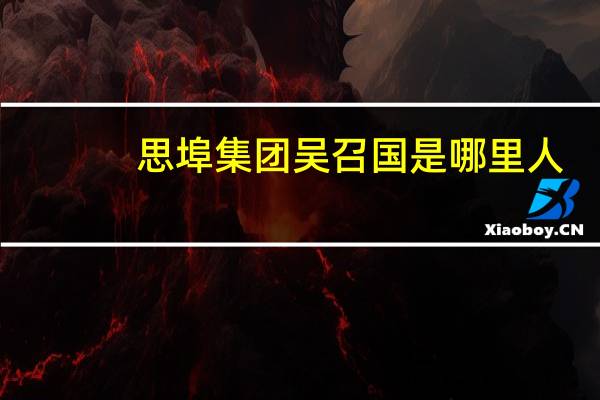 思埠集团吴召国是哪里人（吴召国-思埠集团董事长兼CEO介绍）