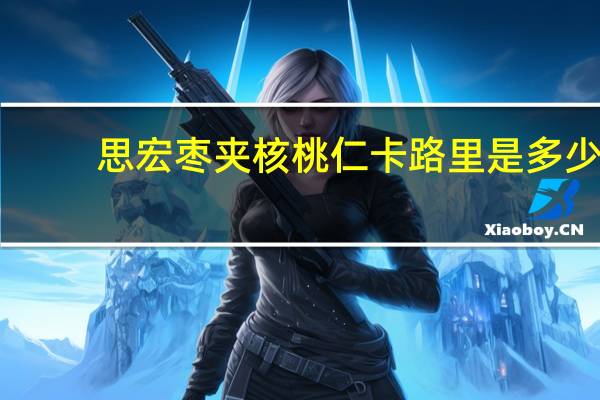 思宏 枣夹核桃仁卡路里是多少