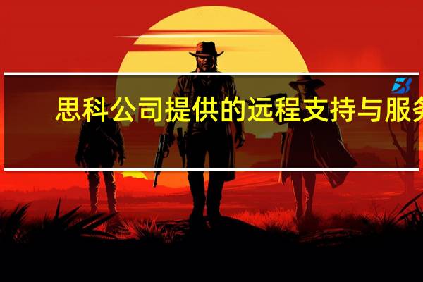思科公司提供的远程支持与服务（思科构建数字门户 助力企业技术之旅）