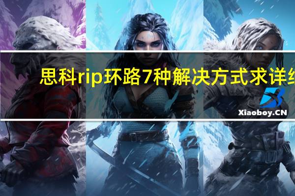 思科rip环路7种解决方式 求详细