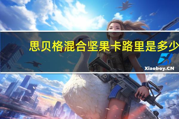 思贝格 混合坚果卡路里是多少