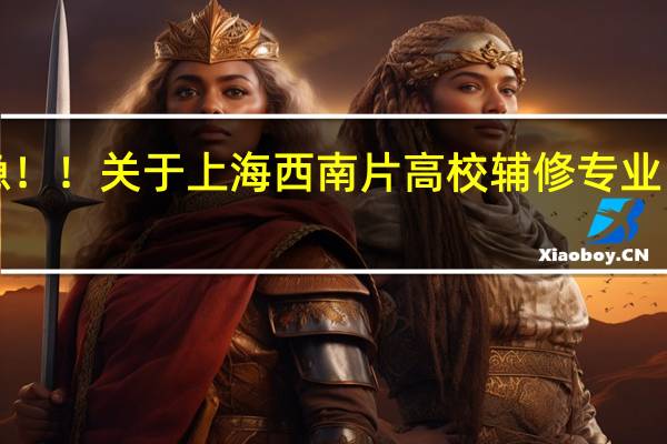 急！！关于上海西南片高校辅修专业！！！！