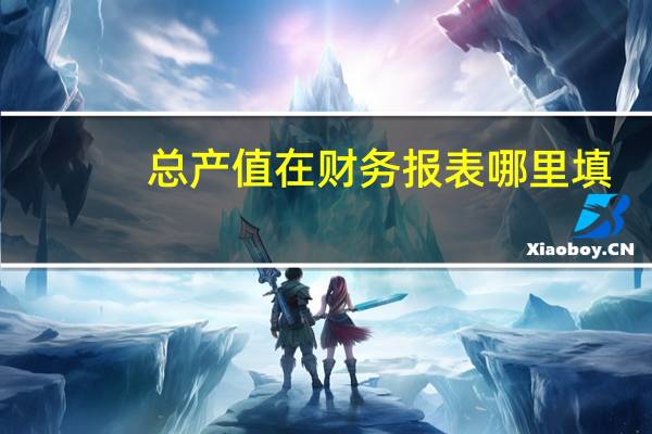 总产值在财务报表哪里填（总产值在财务报表哪里）