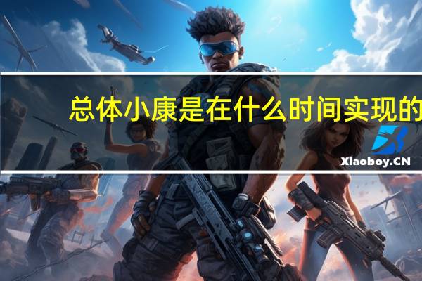 总体小康是在什么时间实现的?（总体小康）
