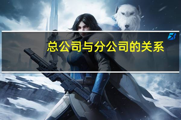 总公司与分公司的关系