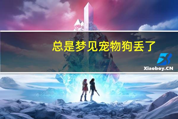 总是梦见宠物狗丢了