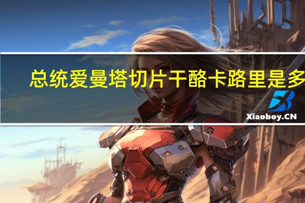 总统 爱曼塔切片干酪卡路里是多少