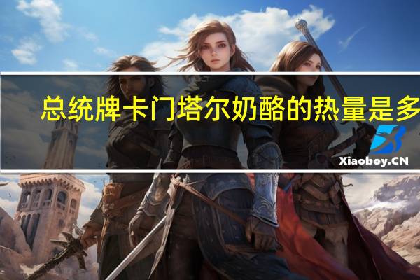 总统 牌卡门塔尔奶酪的热量是多少