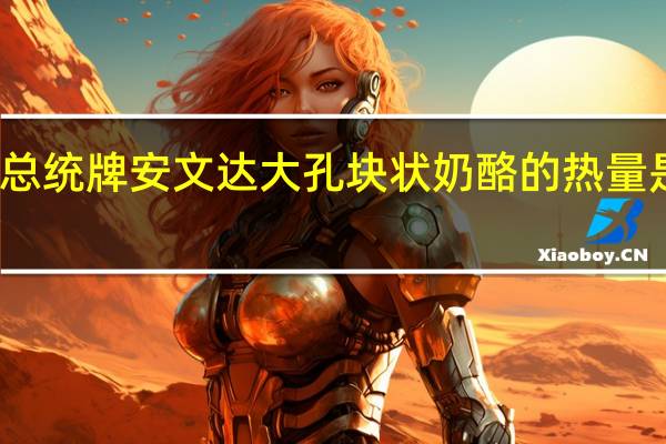 总统 牌安文达大孔块状奶酪的热量是多少