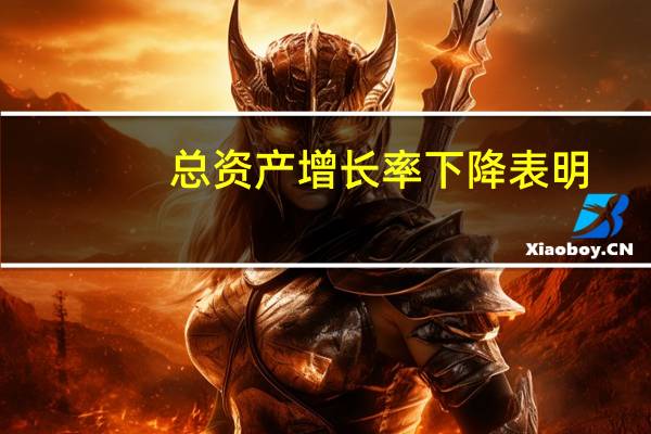 总资产增长率下降表明（总资产增长率下降说明什么）
