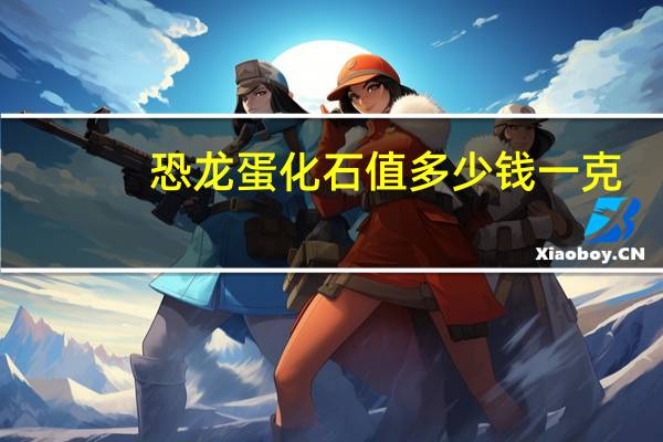 恐龙蛋化石值多少钱一克（恐龙蛋化石值多少钱）