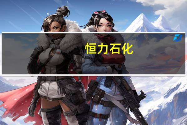 恒力石化：公司资产负债率在逐年下降