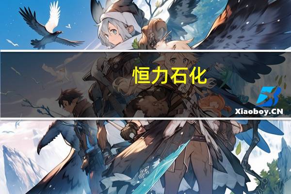 恒力石化：拟分拆子公司康辉新材料通过与大连热电重组上市发股购买资产交易作价101.53亿元