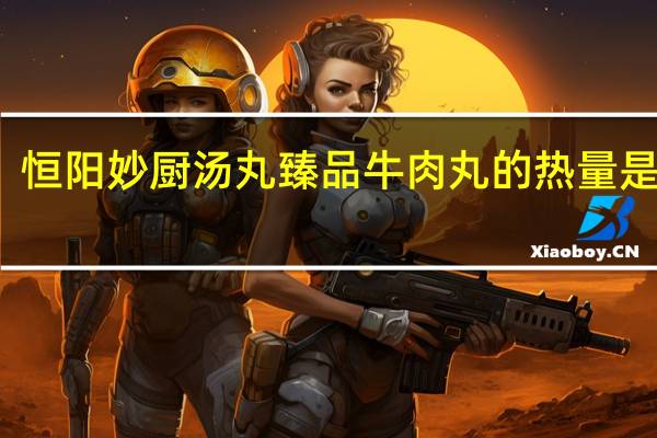恒阳 妙厨汤丸 臻品牛肉丸的热量是多少