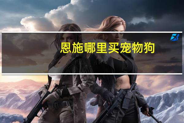 恩施哪里买宠物狗