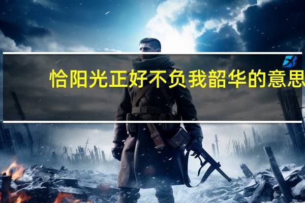 恰阳光正好不负我韶华的意思