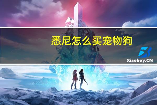 悉尼怎么买宠物狗