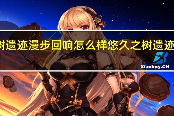 悠久之树遗迹漫步回响怎么样 悠久之树遗迹漫步回响介绍