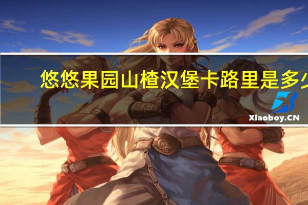 悠悠果园 山楂汉堡卡路里是多少