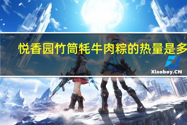 悦香园 竹筒牦牛肉粽的热量是多少
