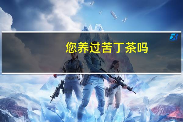 您养过苦丁茶吗