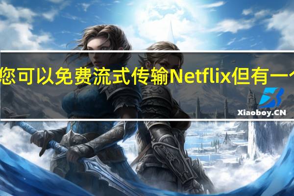 您可以免费流式传输Netflix但有一个问题