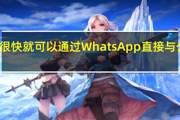 您很快就可以通过WhatsApp直接与公司购物