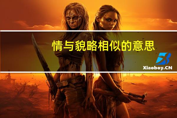 情与貌略相似的意思