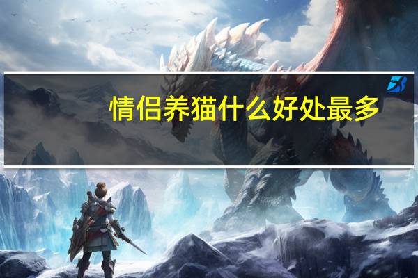 情侣养猫什么好处最多