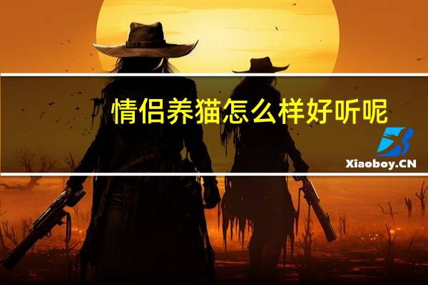 情侣养猫怎么样好听呢