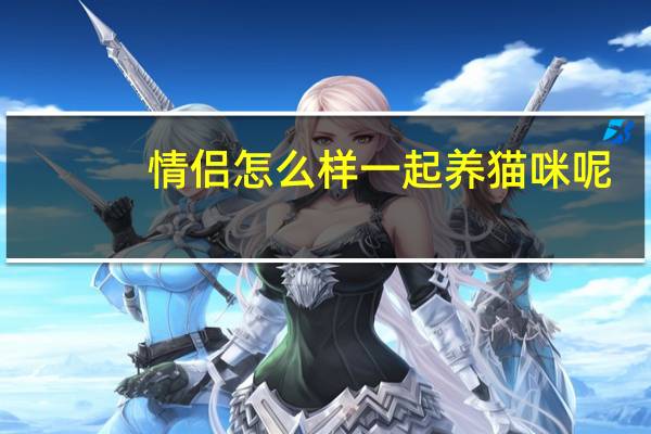 情侣怎么样一起养猫咪呢